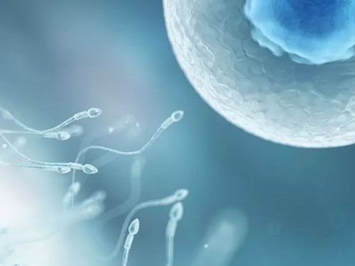Three questions for men facing infertility from risk factors to treatments