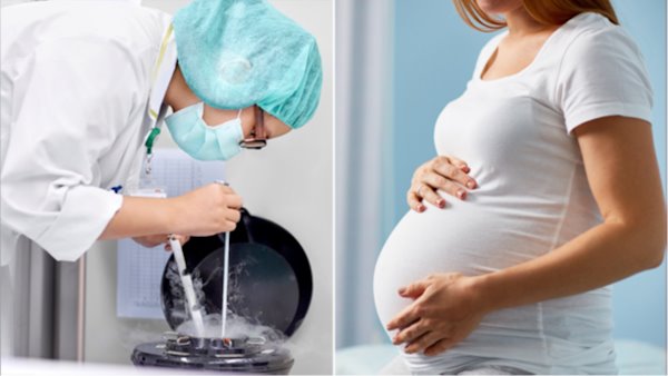 Egg Freezing popularity is exploding among younger women.