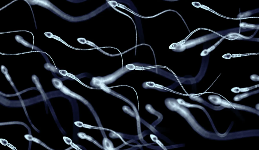 Dr. John Norian, Dr. Bradford Kolb, and Dr. Jane Frederick were recently quoted in an article for USA Today regarding the importance of semen analysis